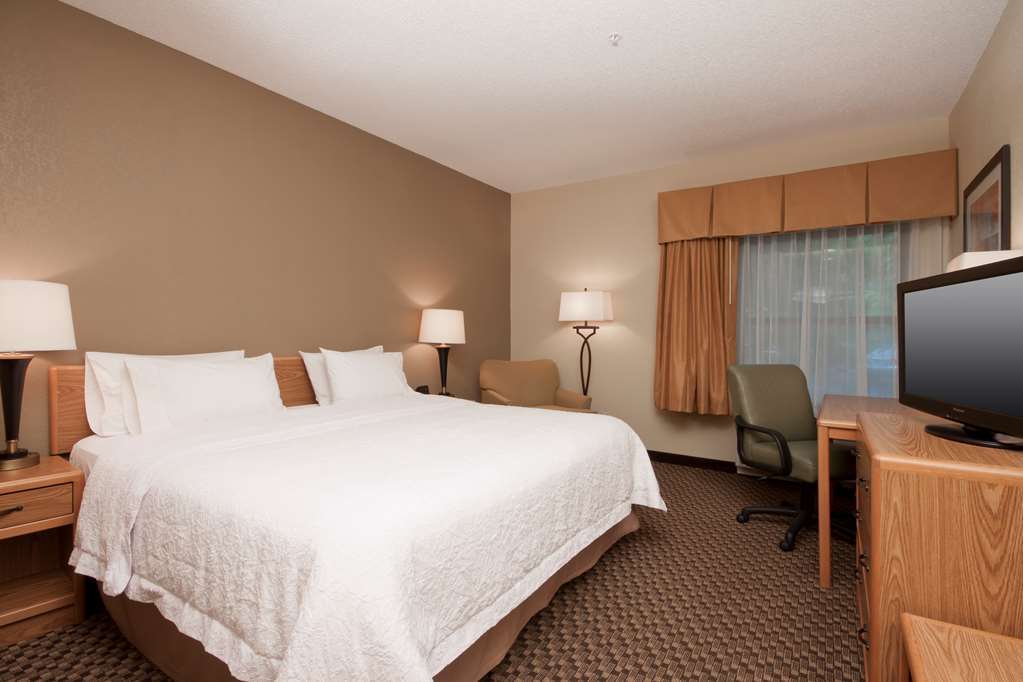 Hampton Inn Binghamton/Johnson City Rum bild